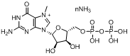 澳门永利官网总站入口