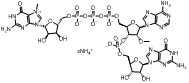 澳门永利官网总站入口