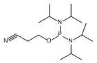 澳门永利官网总站入口