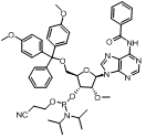 澳门永利官网总站入口